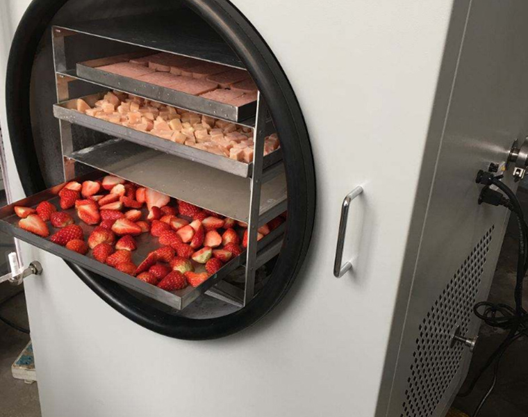 果蔬凍干機(jī) 果蔬凍干機(jī)